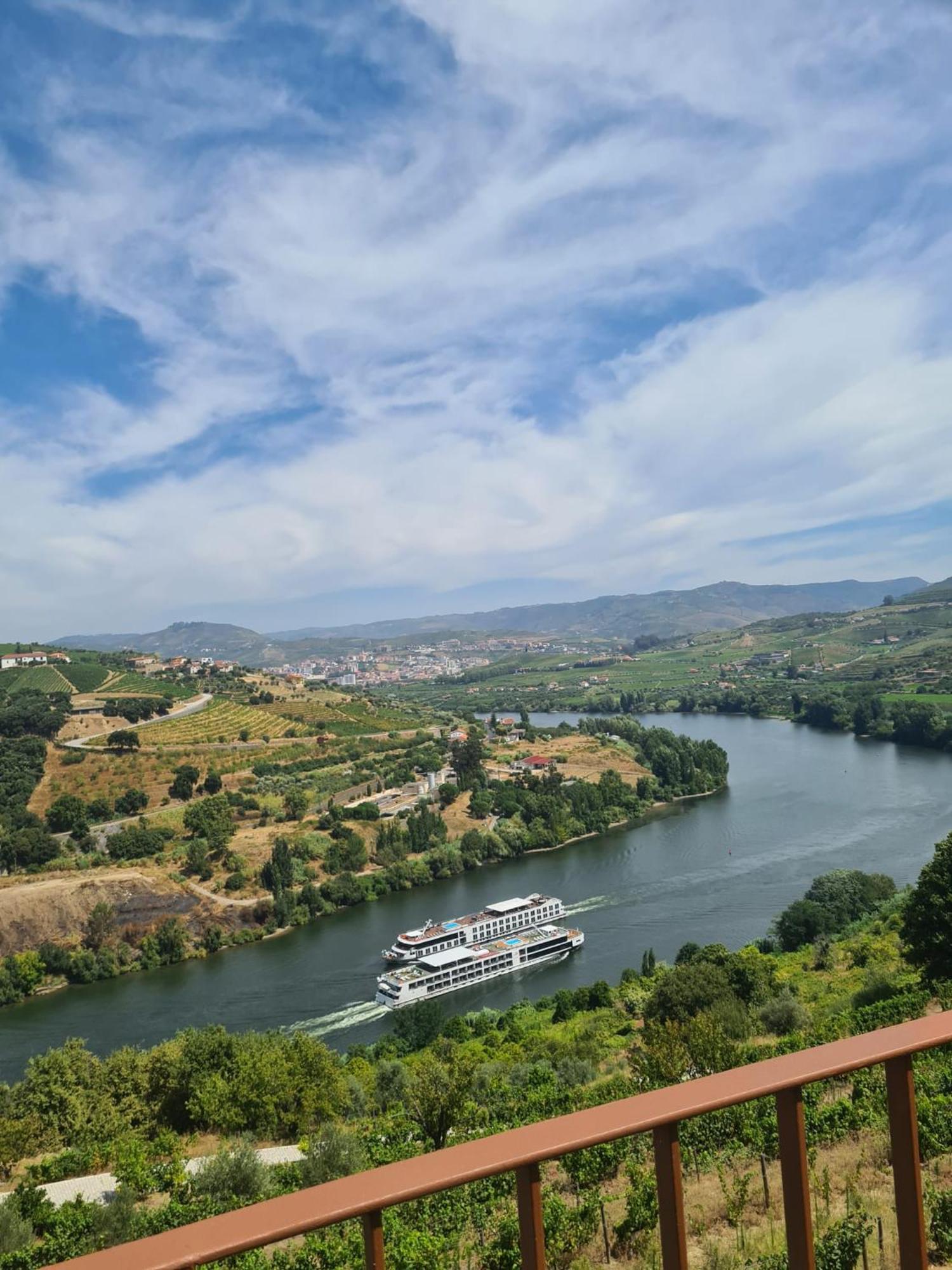 Delfim Douro Hotel Lamego Exterior photo