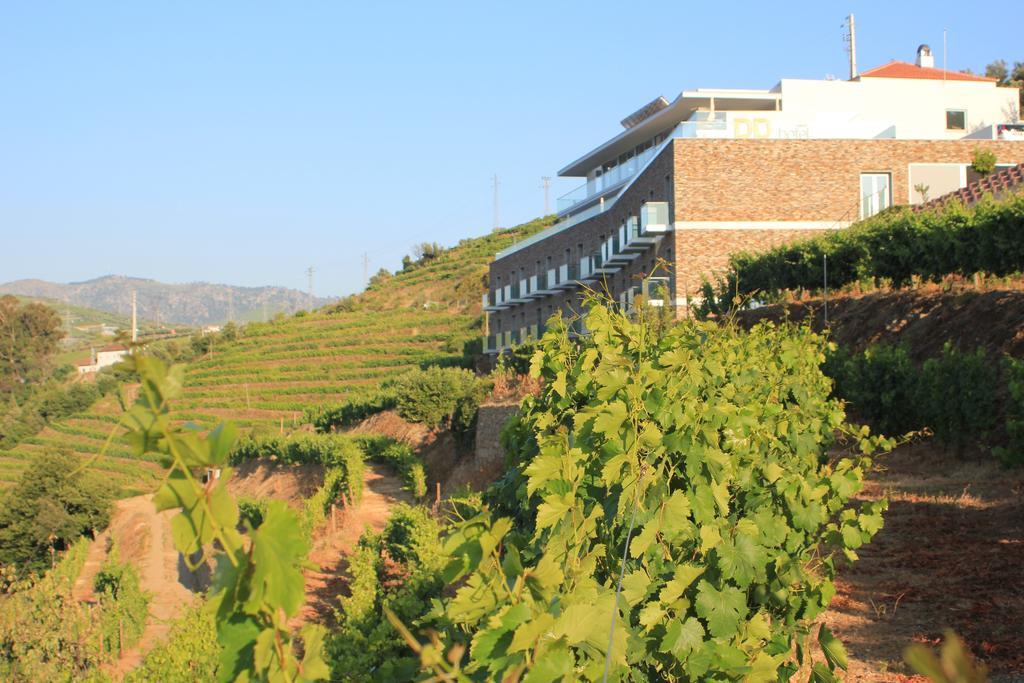Delfim Douro Hotel Lamego Exterior photo